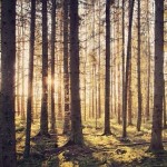 5 voordelen van de minimalistische lifestyle