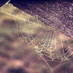 geld besparen: de 8 grootste geldvalkuilen om te vermijden