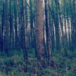 wat ik leerde na drie jaar simpel leven