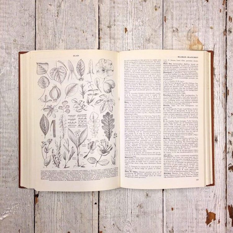 11051394_854235757956465_938623899_n