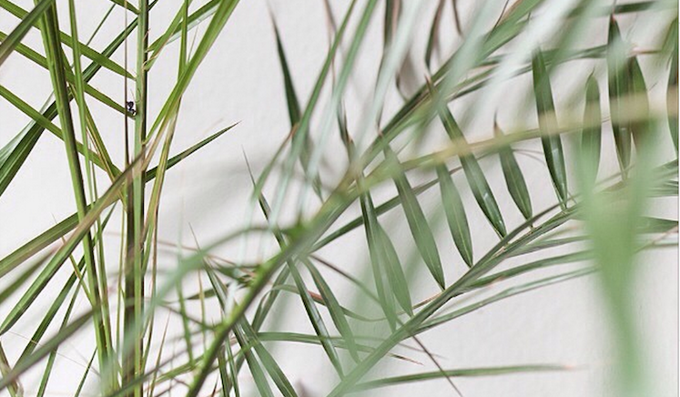 Screen Shot 2015-03-04 at 13.35.19